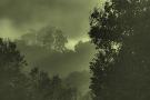 Laminate