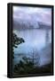 Essential Black