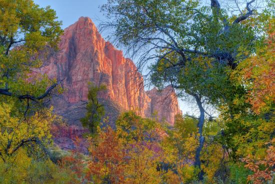 Premium Photographic Print, , large