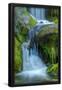 Essential Black