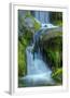 Chelsea White
