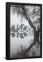 Essential Black