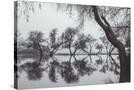 Stretched Canvas