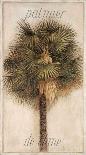 Palmier de Chine-Vincent Jeannerot-Mounted Art Print