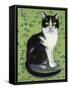 Vincent le Chat-Isy Ochoa-Framed Stretched Canvas