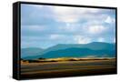 Canvas Black