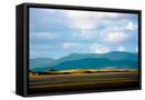 Framed Canvas