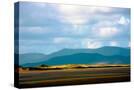 Stretched Canvas