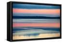 Framed Canvas