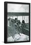 Essential Black