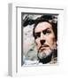 Vincent Price-null-Framed Photo