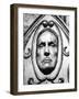 Vincent Price-null-Framed Photo