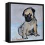 Vincent, the pug puppy-Brenda Brin Booker-Framed Stretched Canvas