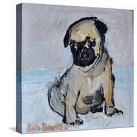 Vincent, the pug puppy-Brenda Brin Booker-Stretched Canvas