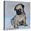 Vincent, the pug puppy-Brenda Brin Booker-Stretched Canvas