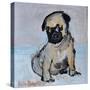 Vincent, the pug puppy-Brenda Brin Booker-Stretched Canvas