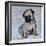 Vincent, the pug puppy-Brenda Brin Booker-Framed Giclee Print