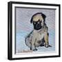 Vincent, the pug puppy-Brenda Brin Booker-Framed Giclee Print