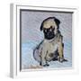 Vincent, the pug puppy-Brenda Brin Booker-Framed Giclee Print