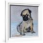 Vincent, the pug puppy-Brenda Brin Booker-Framed Giclee Print