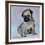 Vincent, the pug puppy-Brenda Brin Booker-Framed Giclee Print