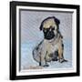 Vincent, the pug puppy-Brenda Brin Booker-Framed Giclee Print