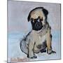 Vincent, the pug puppy-Brenda Brin Booker-Mounted Giclee Print