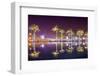 Vincent Thomas Bridge and Palm Tree Reflections in San Pedro, Los Angeles, California.-SeanPavonePhoto-Framed Photographic Print