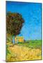 Vincent Van Gogh A Lane near Arles Art Print Poster-null-Mounted Poster