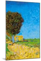 Vincent van Gogh A Lane near Arles-Vincent van Gogh-Mounted Art Print