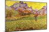 Vincent Van Gogh A Meadow in the Mountains Le Mas de Saint-Paul Art Print Poster-null-Mounted Poster