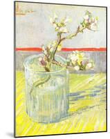 Vincent Van Gogh (Almond blossom branches) Art Poster Print-null-Mounted Poster