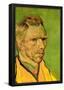 Vincent Van Gogh Another Self-Portrait Art Print Poster-null-Framed Poster