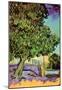 Vincent Van Gogh Chestnut Tree in Blossom Art Print Poster-null-Mounted Poster