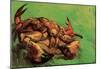 Vincent Van Gogh Crab on Its Back Art Print Poster-null-Mounted Poster