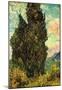 Vincent Van Gogh (Cypresses) Art Poster Print-null-Mounted Poster