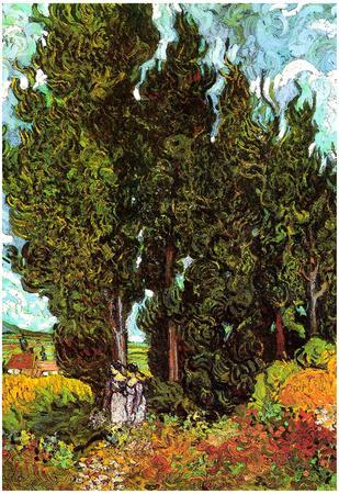 Vincent van Gogh, Cypresses