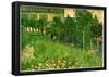 Vincent Van Gogh Daubigny's Garden Art Print Poster-null-Framed Poster