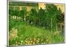 Vincent Van Gogh Daubigny's Garden Art Print Poster-null-Mounted Poster