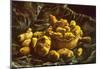 Vincent Van Gogh Earthen Bowls Art Print Poster-null-Mounted Poster