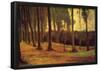 Vincent Van Gogh Edge of a Wood Art Print Poster-null-Framed Poster