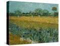 Stretched Canvas