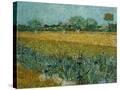 Stretched Canvas