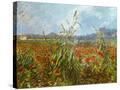 Stretched Canvas