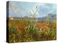 Stretched Canvas