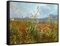 Canvas Black