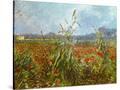 Stretched Canvas