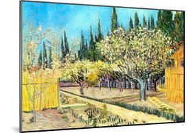 Vincent Van Gogh Flowering Fruit Garden Surrounded by Cypress Art Print Poster-null-Mounted Poster