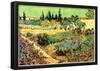 Vincent Van Gogh Flowering Garden with Path Art Print Poster-null-Framed Poster