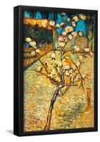 Vincent Van Gogh Flowering Pear Art Print Poster-null-Framed Poster